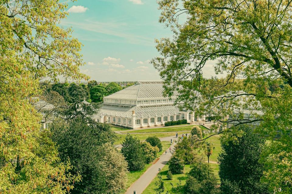 Kew Gardens